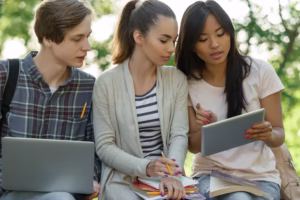 Ellison Undergraduate Scholars Program