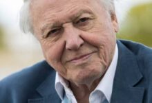 David Attenborough Net Worth: Biography, Earnings, Career, Salary, Lifestyle & Assets