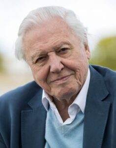 David Attenborough Net Worth: Biography, Earnings, Career, Salary, Lifestyle & Assets