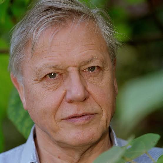 David Attenborough Net Worth: Biography, Earnings, Career, Salary, Lifestyle & Assets