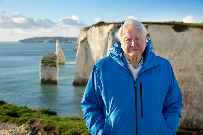 David Attenborough Net Worth: Biography, Earnings, Career, Salary, Lifestyle & Assets